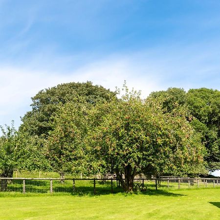 Ta Mill Cottages & Lodges - Meadowview Chalet 2 Лонсестон Экстерьер фото